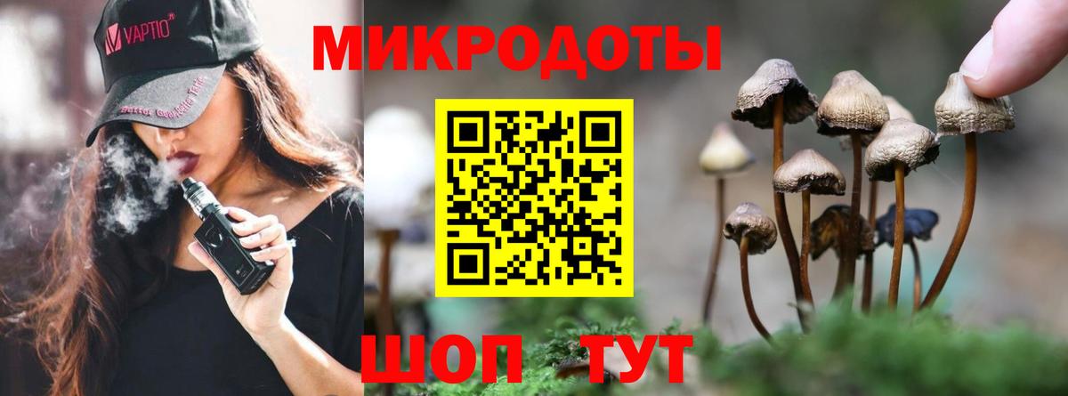 Димитровград  Псилоцибиновые грибы Cubensis  Вход с VPN 
